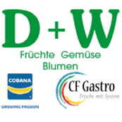D+W Denscheilmann + Wellein Logo D+W Denscheilmann + Wellein Logo